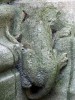 Bestiaire sur portail sud cathedrale saint andre