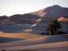 Un spectacle de contraste sur les dunes