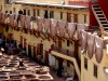 Medina de fes tanneurs chouara et sechage des peaux
