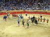 Abiul portugal corrida presentation trois chevaux