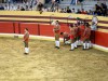 Abiul portugal corrida attente avant approche vers le taureau