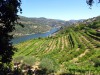 Portugal douro a mosteiro terrasses avec vignes