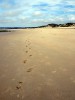 Audinghen parc naturel regional plage et traces