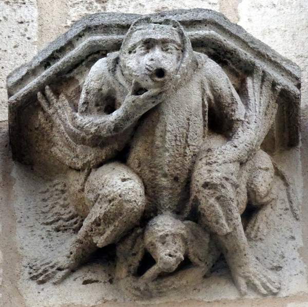 Primate particulier cote nord cathedrale saint andre