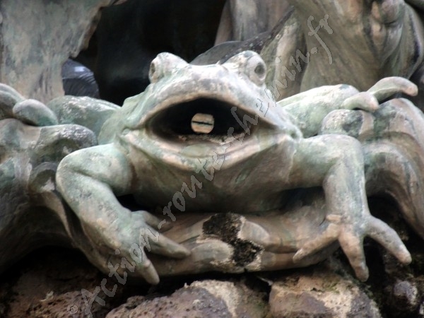 une grenouille monument des girondins