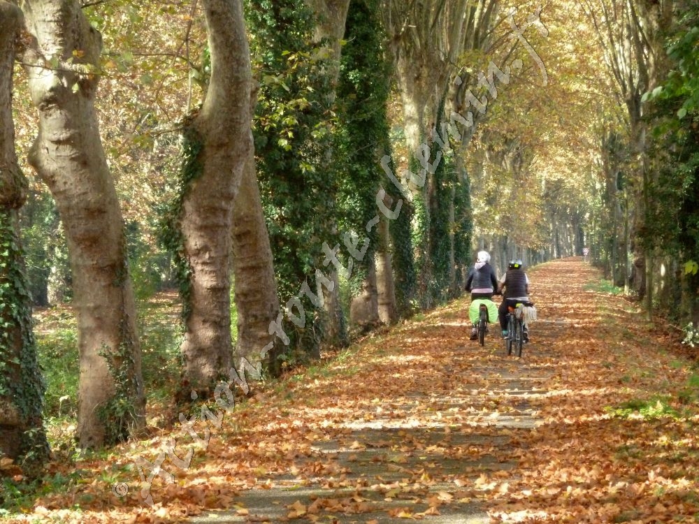 Canal à Damazan en automne