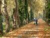 Canal à Damazan en automne