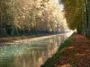 Chemin de halage canal a damazan en automne