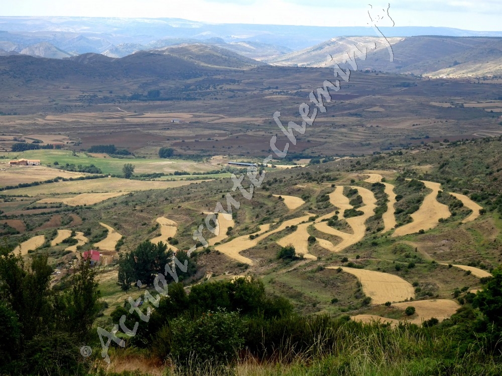 Paysage de Villarroya de los Pinares