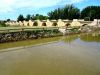 Pont médieval sur le Duero - San Esteban de Gormaz