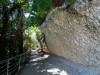 Falaise huitres fossilisées à Sainte Croix du Mont