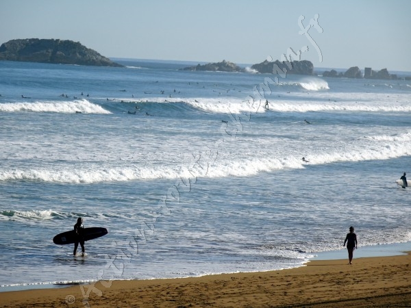 Pays basque zaraultz plage et surfeurs