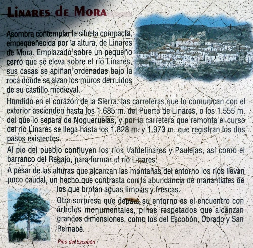 Linares de mora
