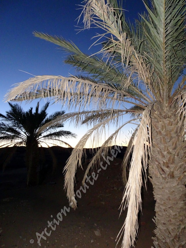 Mergouza avec dunes et oasis