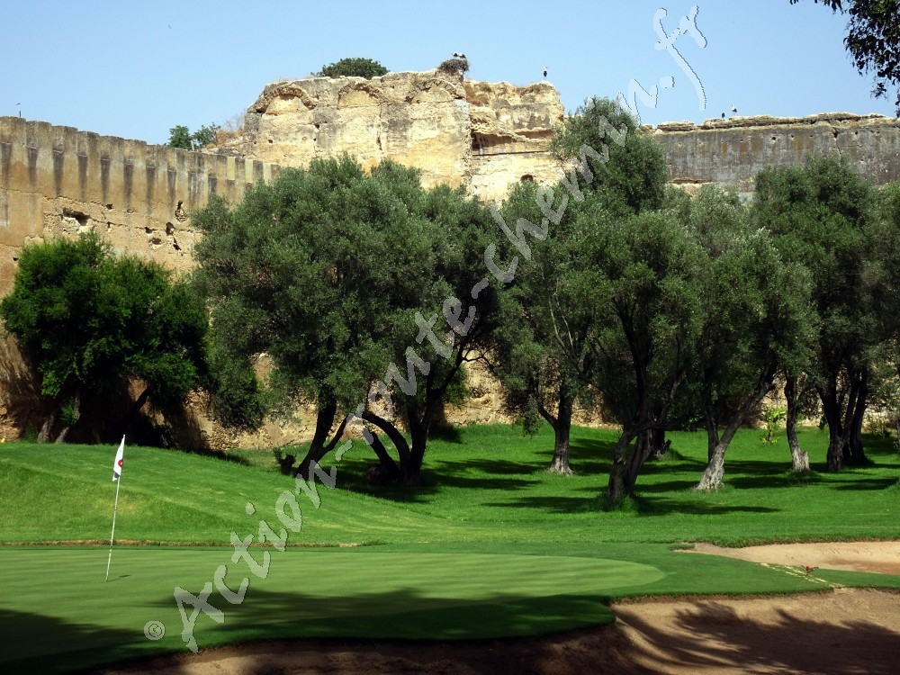 Meknes royal golf