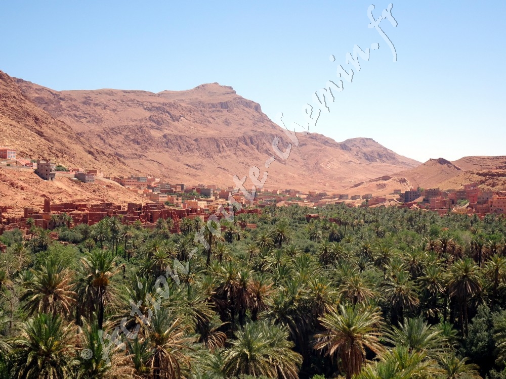 Oued todgha et oasis