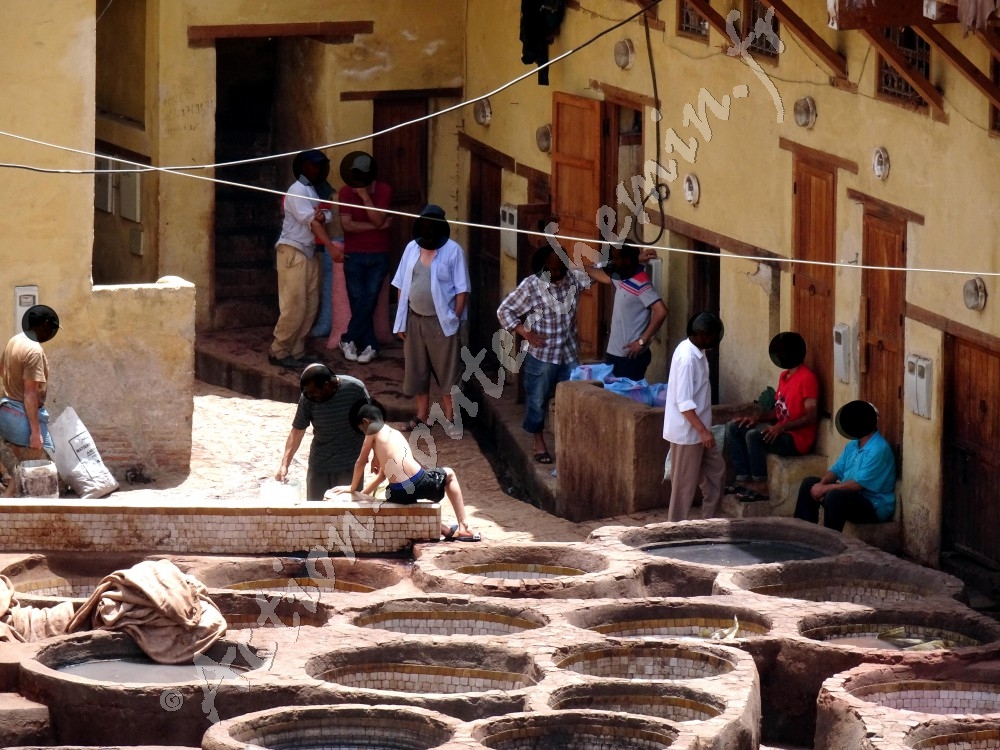 Medina de fes quartier des tanneurs chouara