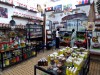 Medina fes boutique de vente cosmetiques et huiles essentielles