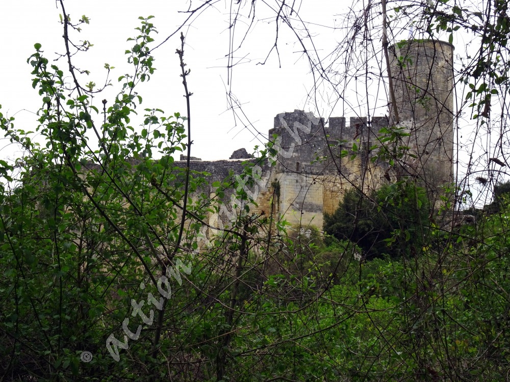 Château de Rauzan en Gironde
