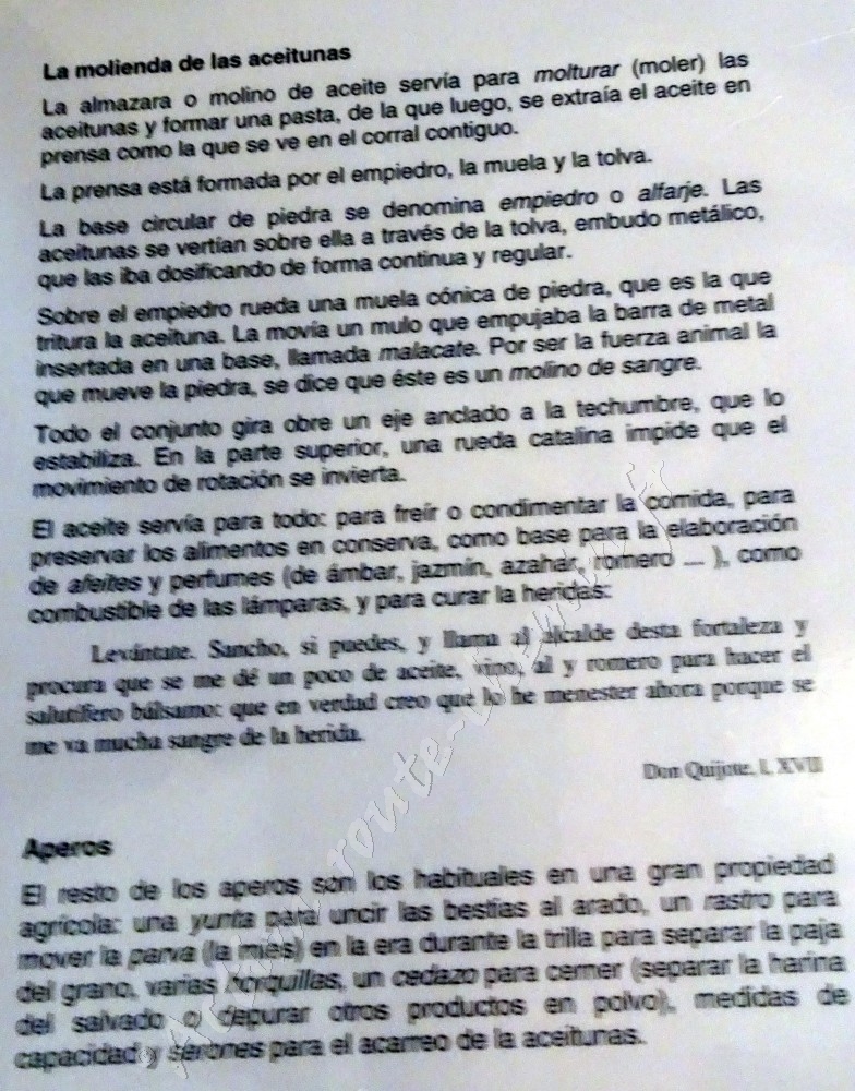 El toboso quijotte dulcinea museo info huile