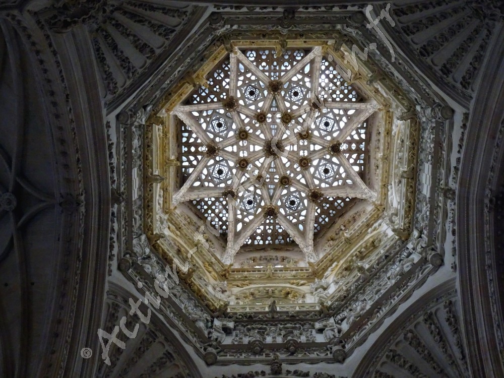 Cathédrale Santa Maria à Burgos - une rosace