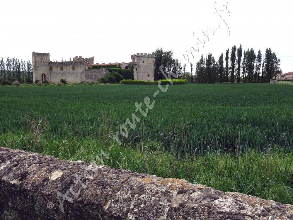 Château où le Cid est né à Sotopalacios