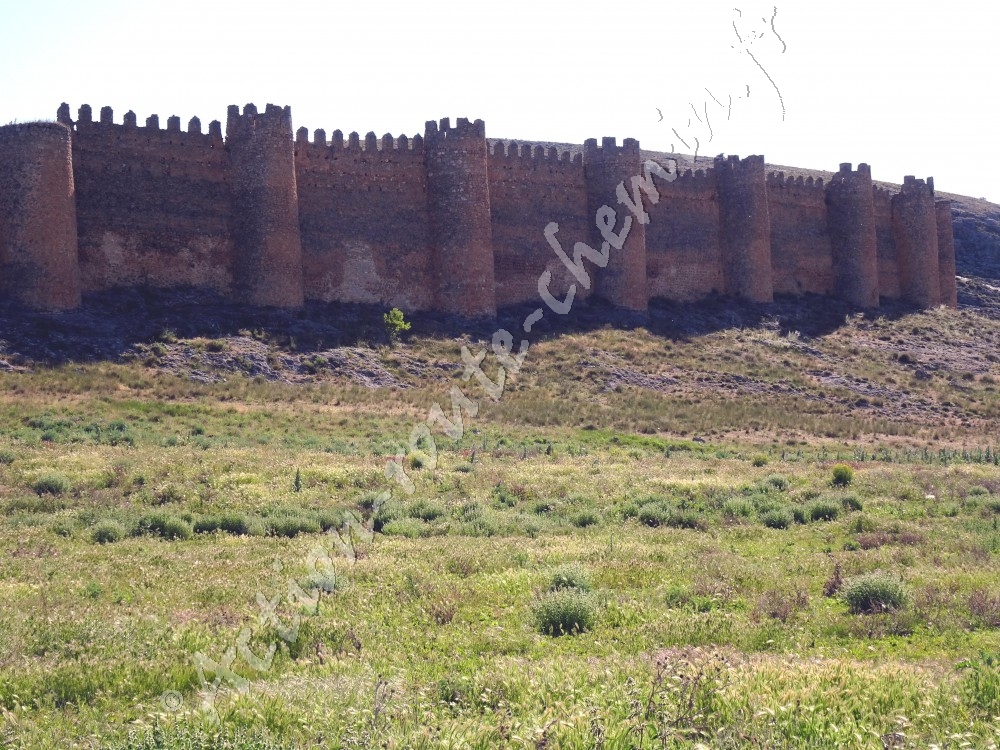 Berlanga de Duero - muraille et tours du château